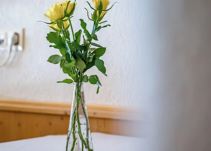 Edelweiss 3* Sankt Leonhard im Pitztal